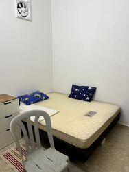 Maple Avenue (D10), Terrace #568245981